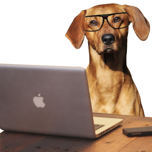 Benefits of digital marketing